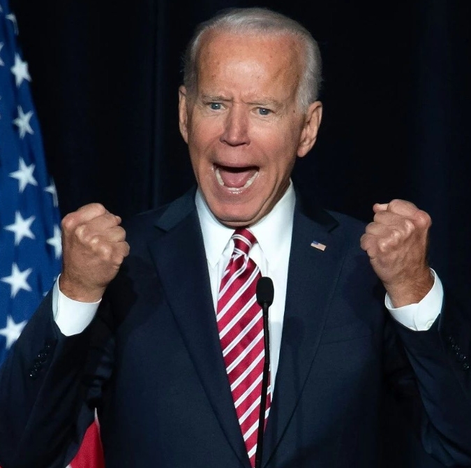 Joe Biden's staff 'hid mental decline from day one of presidency' and cancelled meetings on his 'bad days'